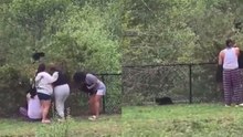 Oso bebé es lastimado por personas que lo cargan para tomarse una foto