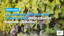 La industria vinícola del Reino Unido migra por el cambio climático