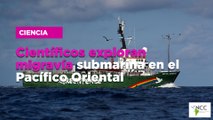 Científicos exploran migravía submarina en el Pacífico Oriental