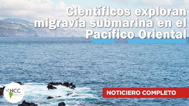 Científicos exploran migravía submarina en el Pacífico Oriental | 649 | 22 al 28 de abril de 2024