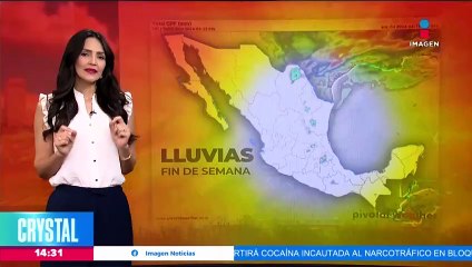 La temporada de calor provoca plagas