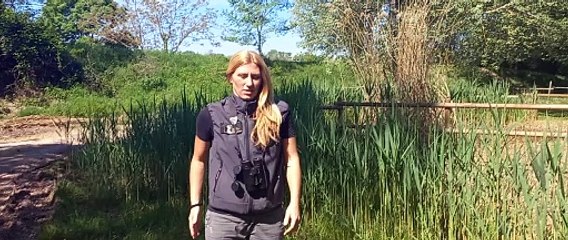 Isola della Cona, la splendida Riserva Naturale alla Foce dell'Isonzo