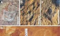 Estudo indica que povos originários interagiam com pegadas de dinossauros na região de Sousa