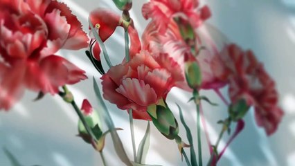 مسلسل باهار الحلقة 20 العشرون مدبلج HD