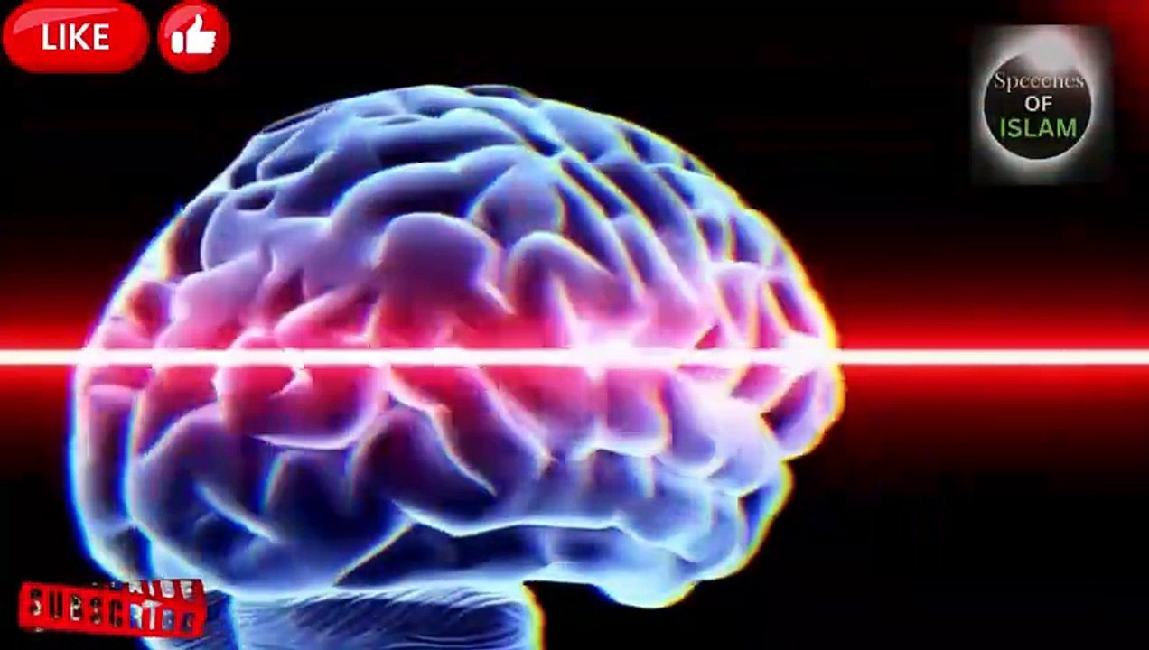 How To Attract Intellectuals | Advice for Hyper-Intellectual People |  Speaches of Islam Official