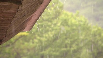 [날씨] 비 내리며 황사 사라져...남해안·제주 많은 비 / YTN