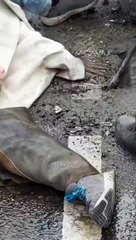 Eco-activists in Germany glue themselves to asphalt