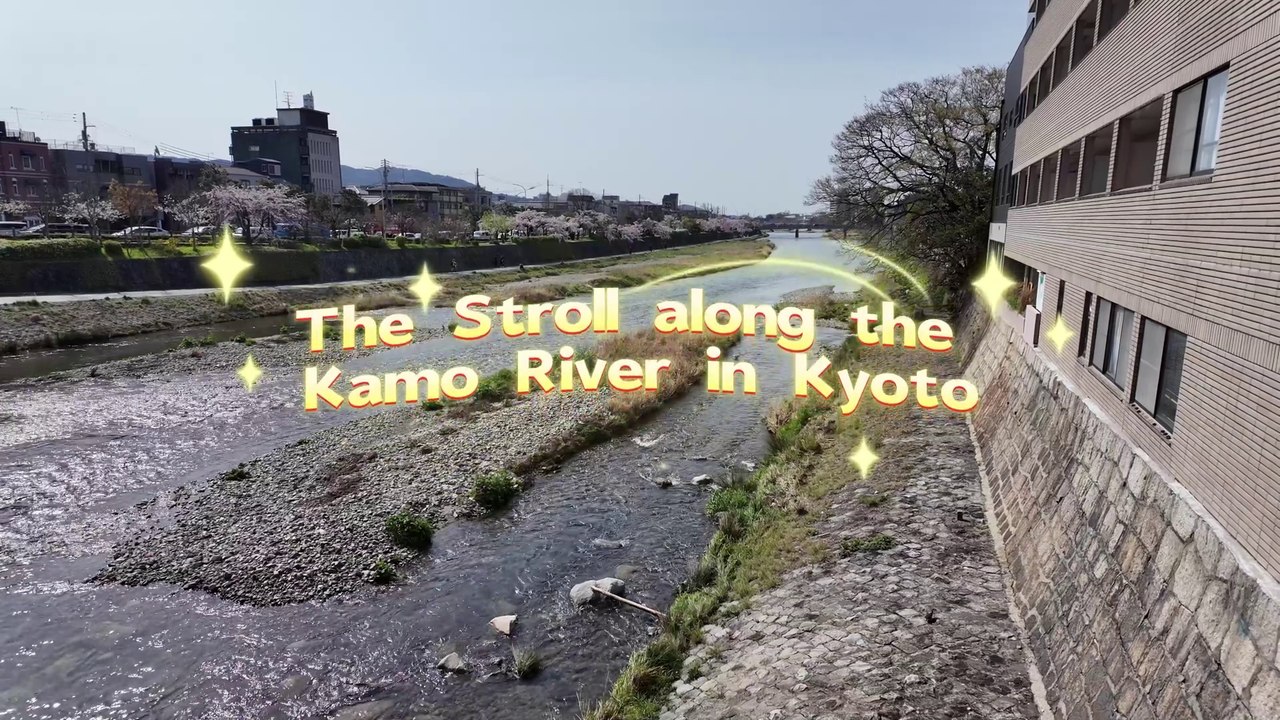 The Stroll along the Kamo River in Kyoto
