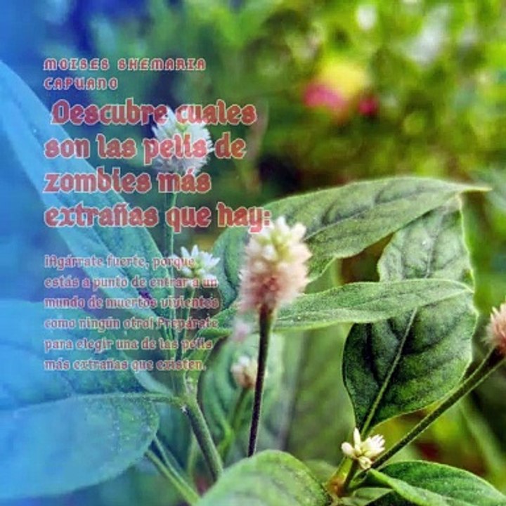 Moises Shemaria Capuano | Pelis Extrañas de Zombis (Parte 1) (Creado por @MoisesShemariaCapuano)