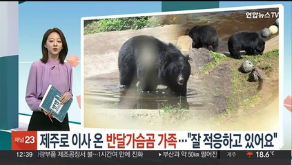 제주로 이사 온 반달가슴곰 가족…"잘 적응하고 있어요"