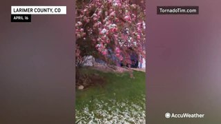 April snow blankets Colorado landscapes