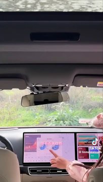 Enjoying the rain alone.