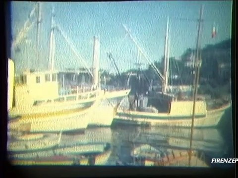 #8 Animali di Città - Conti Pieraccioni - Prendi questa canzone. 1989