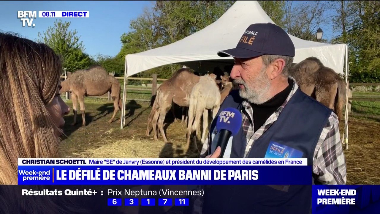 "C'est un défilé très attaché à la paix": Christian Schoettl, organisateur du défilé de chameaux s'exprime quelques heures avant l'évènement
