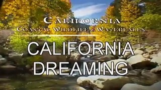 CALIFORNIA DREAMING ( LEO BENNINK & LA LUNES /R&B/SOUL /FUNK )