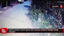 Çalındı sanılan ziynet eşyası dolu çantayı sahipsiz köpeğin aldığı anlaşıldı