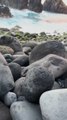 LES PLUS PARTICULIERS paysages de Madere à Ribeira da Janela [@s.x.traveler]