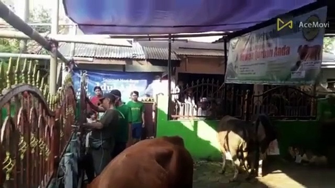PROGRAM TABUNGAN QURBAN - Musholla Mishbahul Falah, Mampang Prapatan Jakarta Selatan