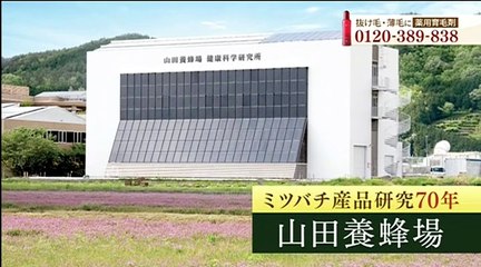 Cartoon Network (Japan) - Shorts Continuity (11th April 2024)