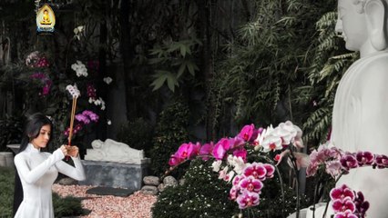 Trương Thị May - ‘Mỹ nhân ăn chay hấp dẫn nhất châu Á’ càng tu càng đẹp