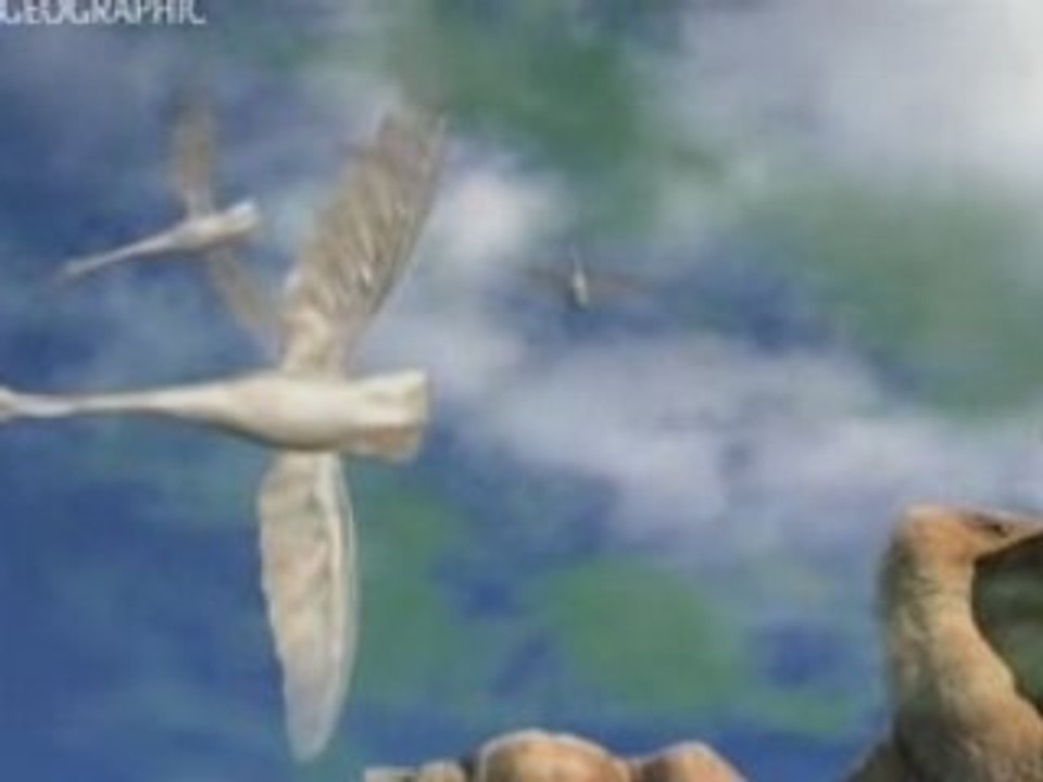 La vie extraterrestre (1 2)