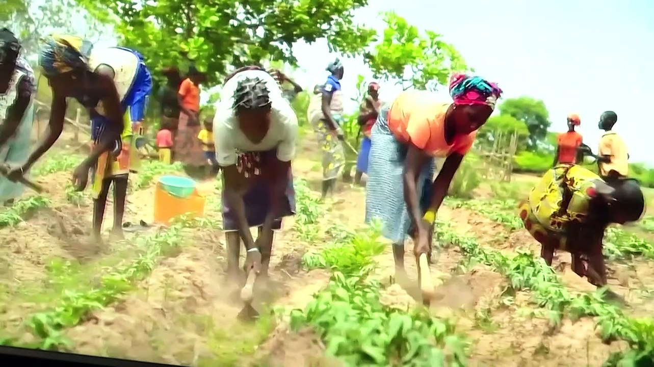 Les conseillers économiques et sociaux s’imprègnent du programme "Initiative d'Abidjan"