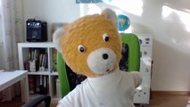 026 Noch andere Teddys wie ich