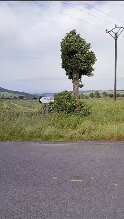 Du vent aux Estables