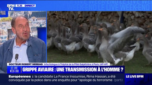 Le risque c'est que ce virus H5N1 s'humanise et devienne très contagieux : Robert Sebbag, infectiologue à l'hôpital de la Pitié-Salpêtrière décrypte la propagation de la souche H5N1 de la grippe aviaire