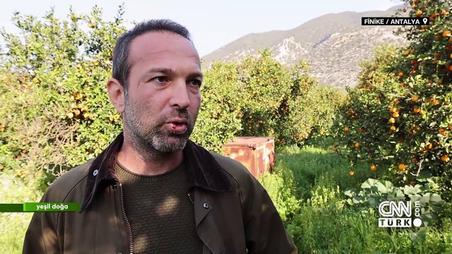 Antalya Finike'deki tarım ve eko turizm Yeşil Doğa'da ekrana geldi