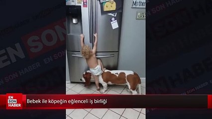 Bebek ile köpeğin eğlenceli iş birliği