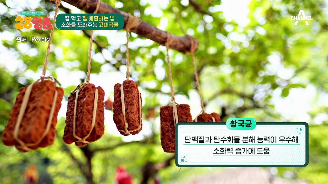 대식가 필수템♨ 소화 돕는 카무트 효소로 2주 만에 5kg 감량 성공?!