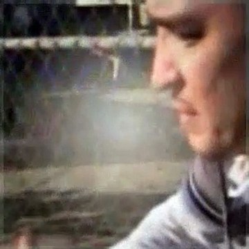 The Dog Whisperer Season 4 Episode 30 Dueling Pit Bulls