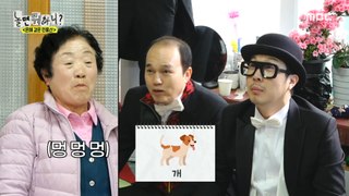 [HOT] Surprise Swallows  What are the animals?, 놀면 뭐하니? 240420