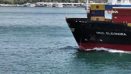 İstanbul Boğazı’ndan geçen konteyner gemisi ile yarışan yunuslar böyle görüntülendi