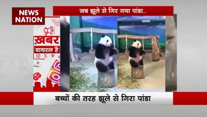 Khabar Viral Hai: देखे देश और दुनिया की सभी वायरल खबरें Khabar Viral Hai में