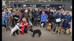 Protest against the dog beach ban in Hastings Old Town, East Sussex, on April 20 2024
