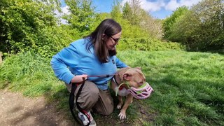 XL Bully walk at Rother Valley Park as owners fight stigma of muzzles that make them look more scary