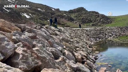 Hakkari'de sürü halindeki yılanlar birbirine yapışık dolaşıyor!