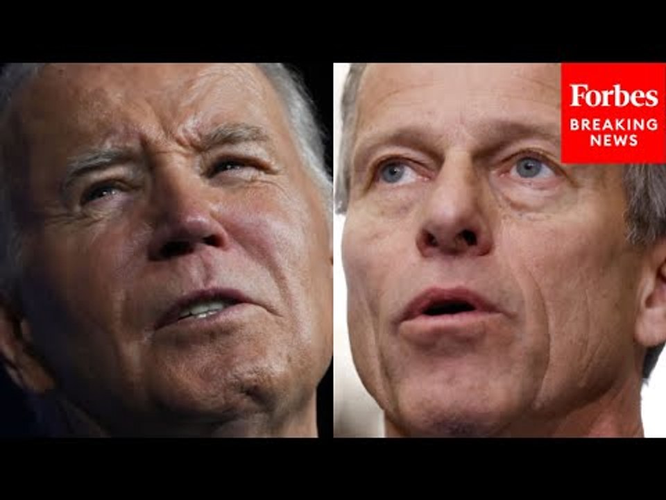 'Onerous Regulatory Regime': John Thune Blasts...