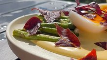 Asperges grillées à l’ail, chips de viande séchée et sauce hollandaise THOMY 
