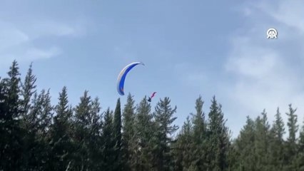 Etkinlik alanına inmek isteyen paraşütçü ağaca takıldı