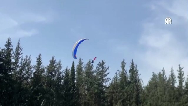 Etkinlik alanına inmek isteyen paraşütçü ağaca takıldı