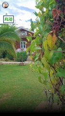 Yit Foh Coffee: Authentic Aromatic Brew ☕