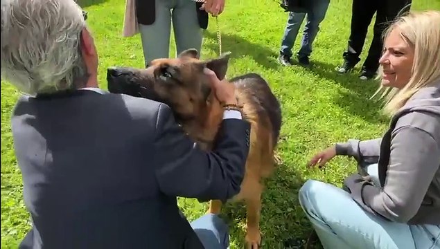 Günther VI, il cane più ricco del mondo, adotta la cucciola CindyCane Bergamo: il video