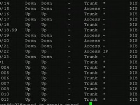 Quand je serais grand ...