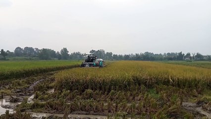 combine harvester yanmar AW 70 VW