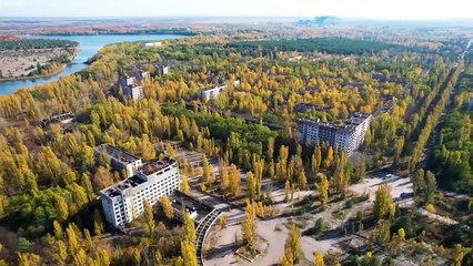 科学者を驚かせたチェルノブイリの生物