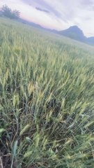 Shocking Night in the Village  KPK Pakistan