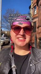 TikTok Memes That Stole My Lunch